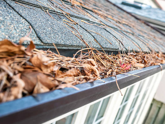 gutter clearing